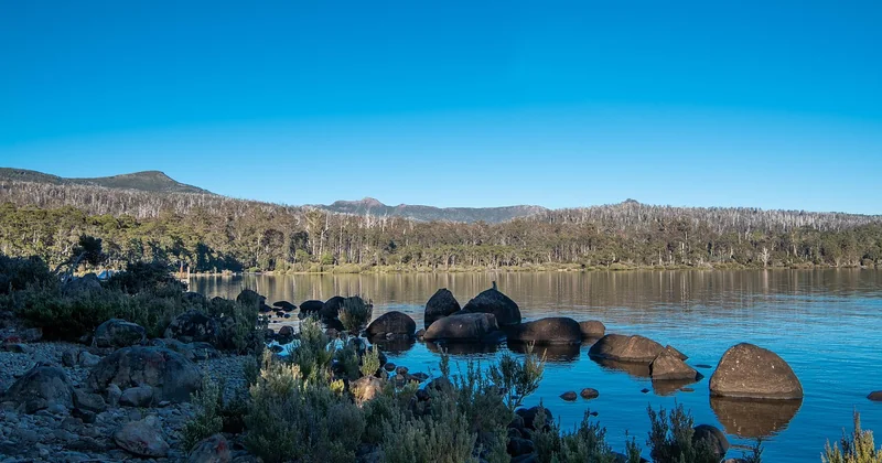 Et si on évitait les parcs surpeuplés ?